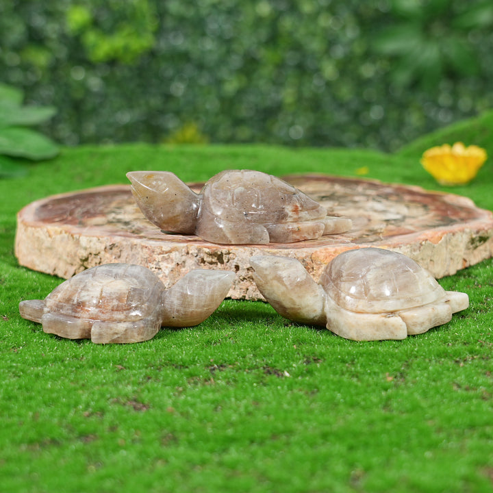 Natural Sunstone-Moonstone Turtle