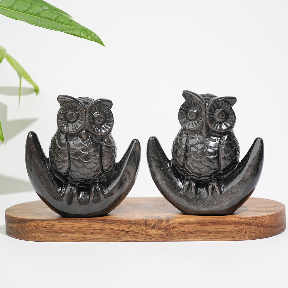 Unique,Natural Crystal Silver Obsidian Cute Moon Owl Carving