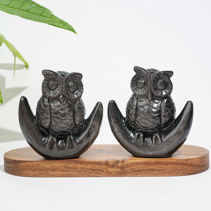 Unique,Natural Crystal Silver Obsidian Cute Moon Owl Carving