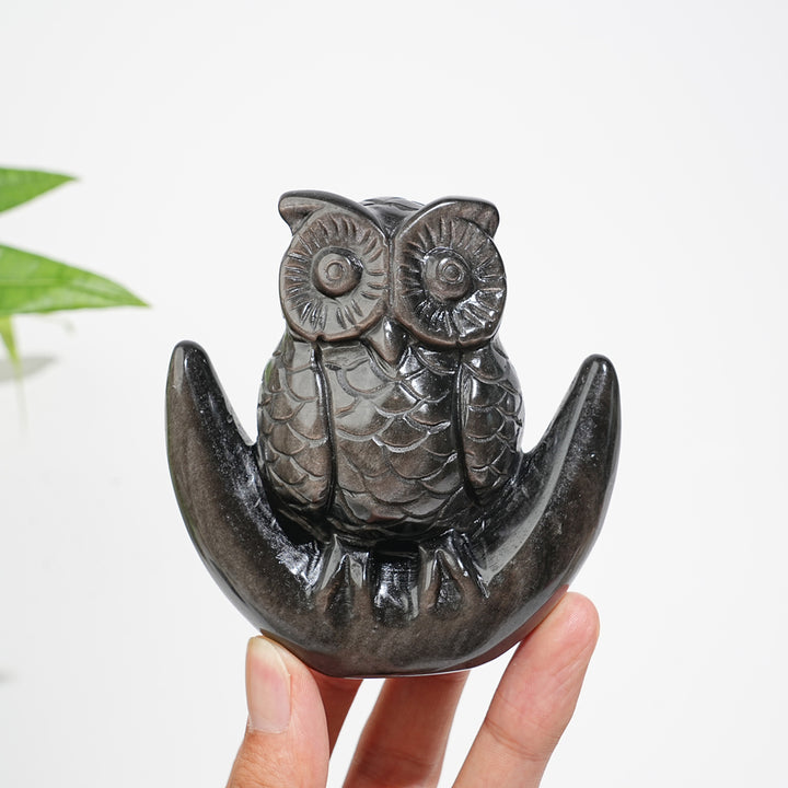 Unique,Natural Crystal Silver Obsidian Cute Moon Owl Carving