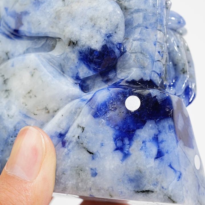 Unique,A Slightly Imperfect Natural Blue And White Porcelain Sodalite Chinese Dragon Carving