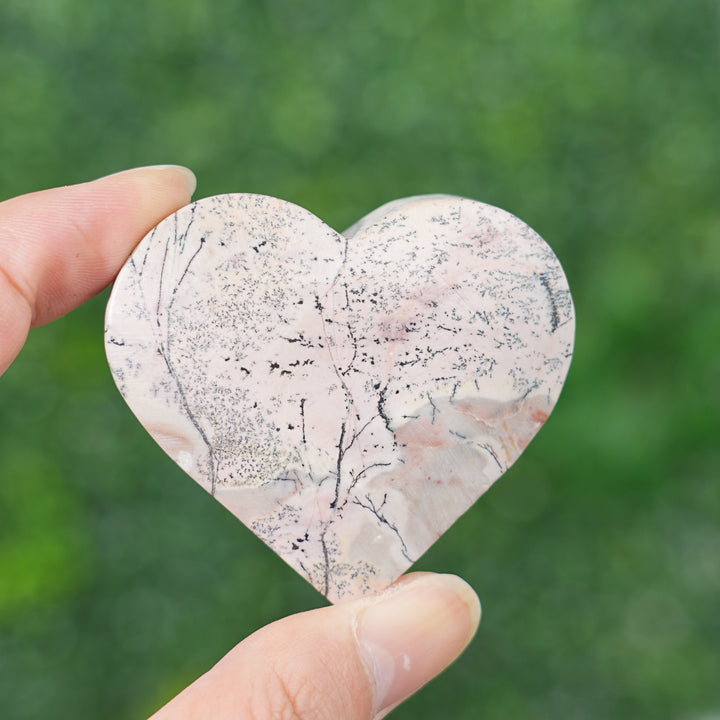 Natural Picture Jasper Heart