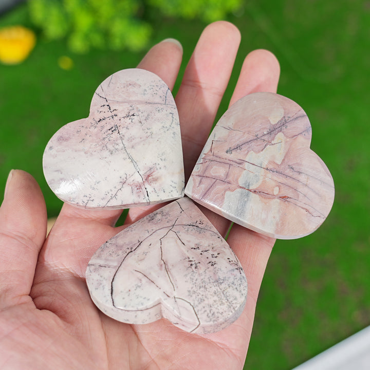 Natural Picture Jasper Heart