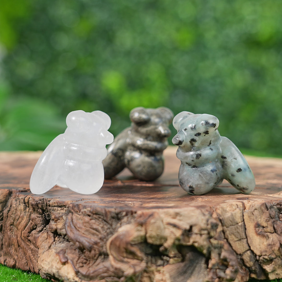 Natural Crystal Carving Housefly