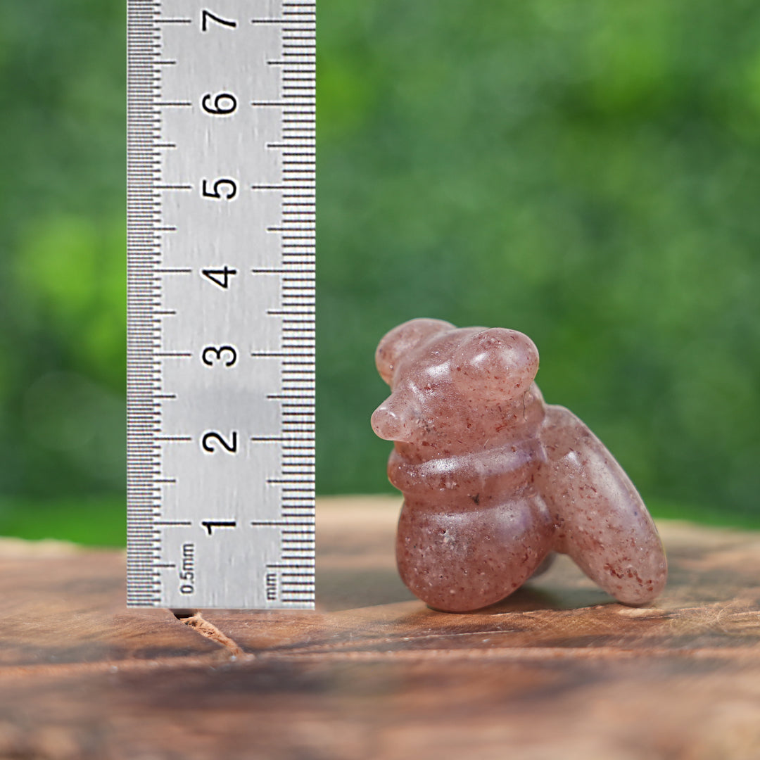 Natural Crystal Carving Housefly