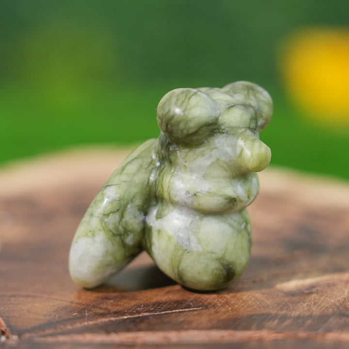 Natural Crystal Carving Housefly