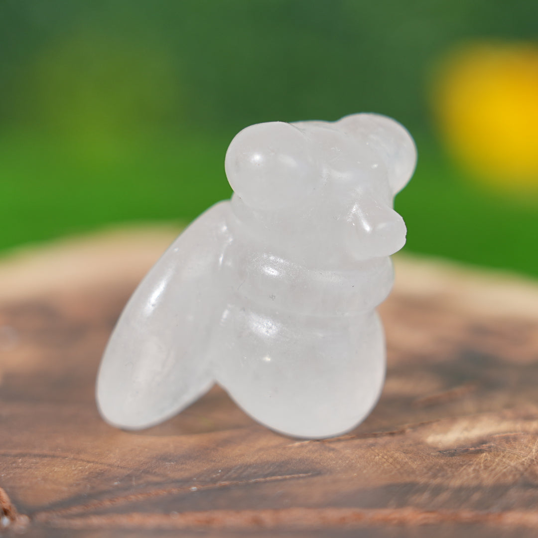 Natural Crystal Carving Housefly