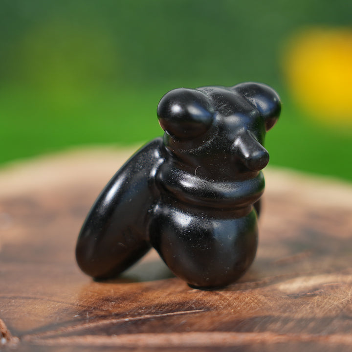 Natural Crystal Carving Housefly