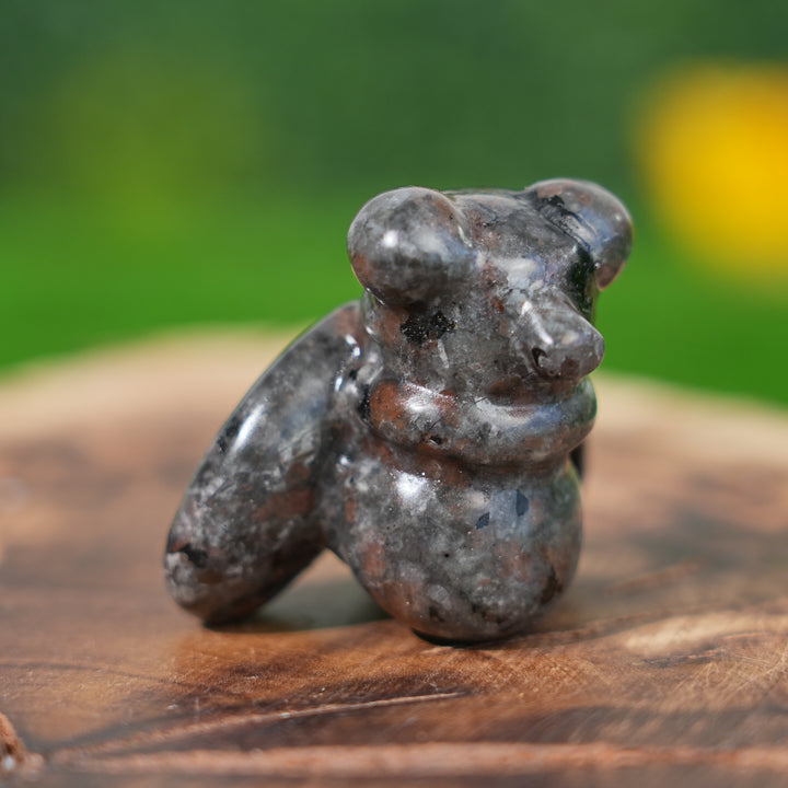 Natural Crystal Carving Housefly