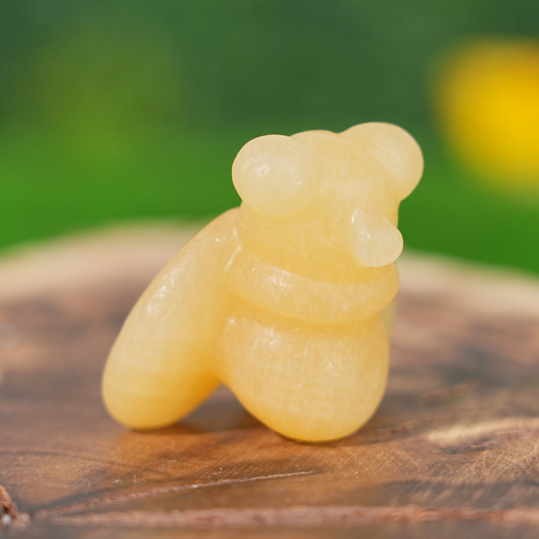 Natural Crystal Carving Housefly