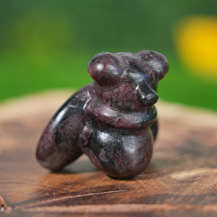 Natural Crystal Carving Housefly