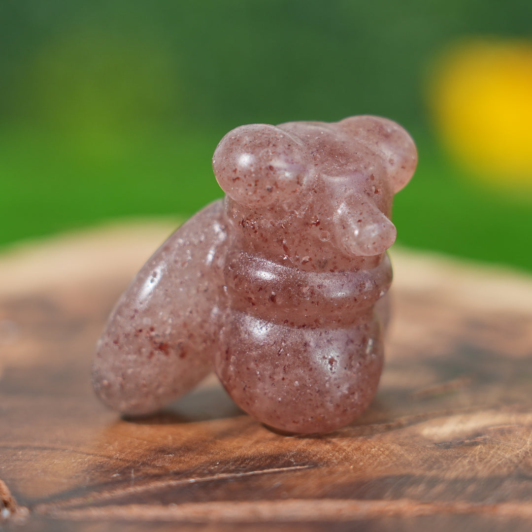 Natural Crystal Carving Housefly