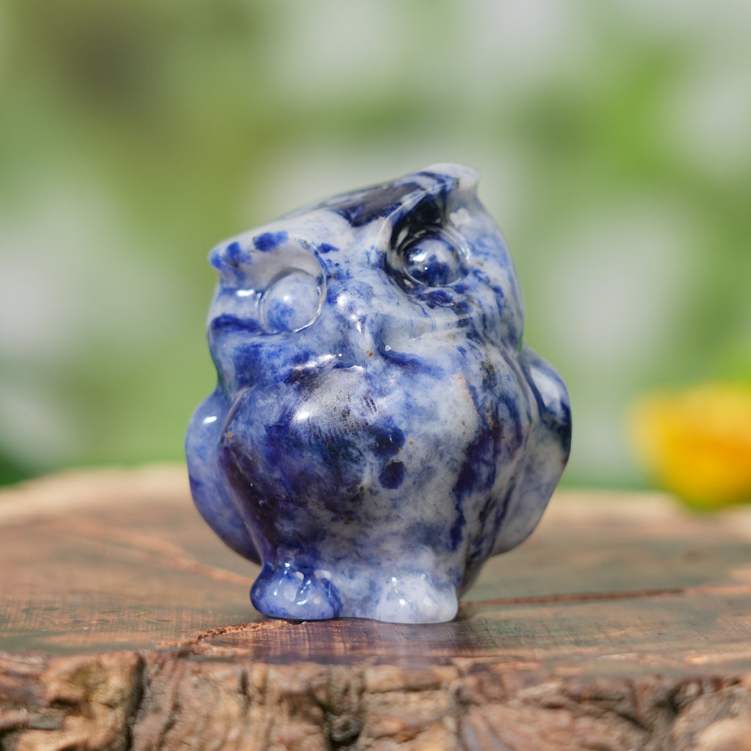 Natural Crystal Carving Owl