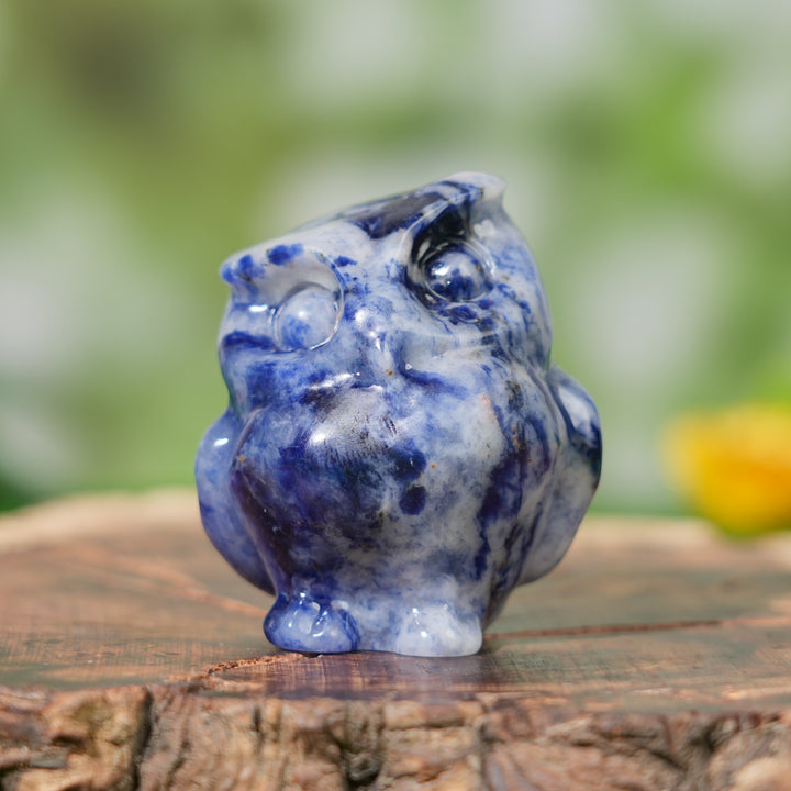 Natural Crystal Carving Owl