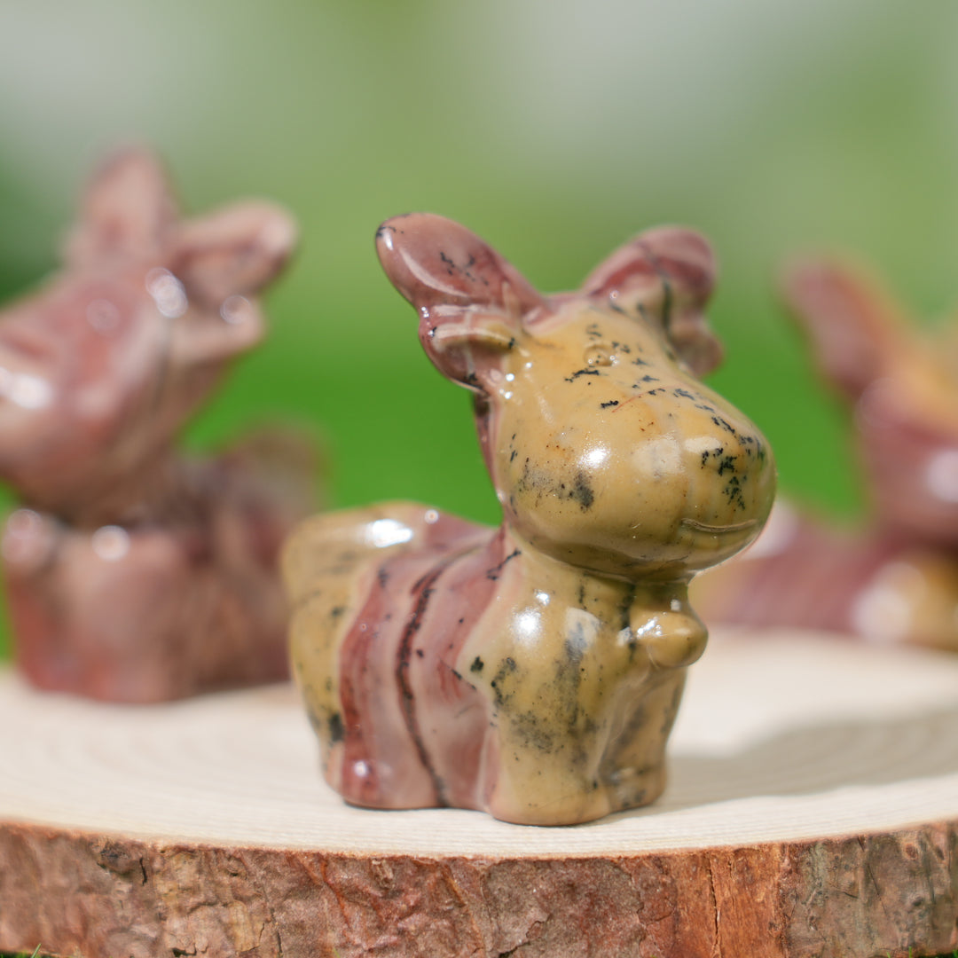 Natural Picture Jasper Deer