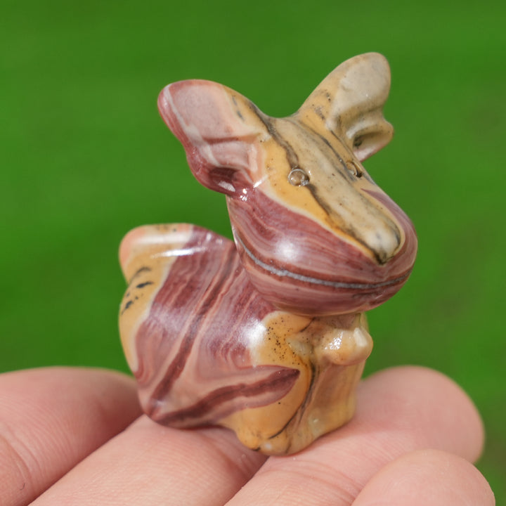 Natural Picture Jasper Deer