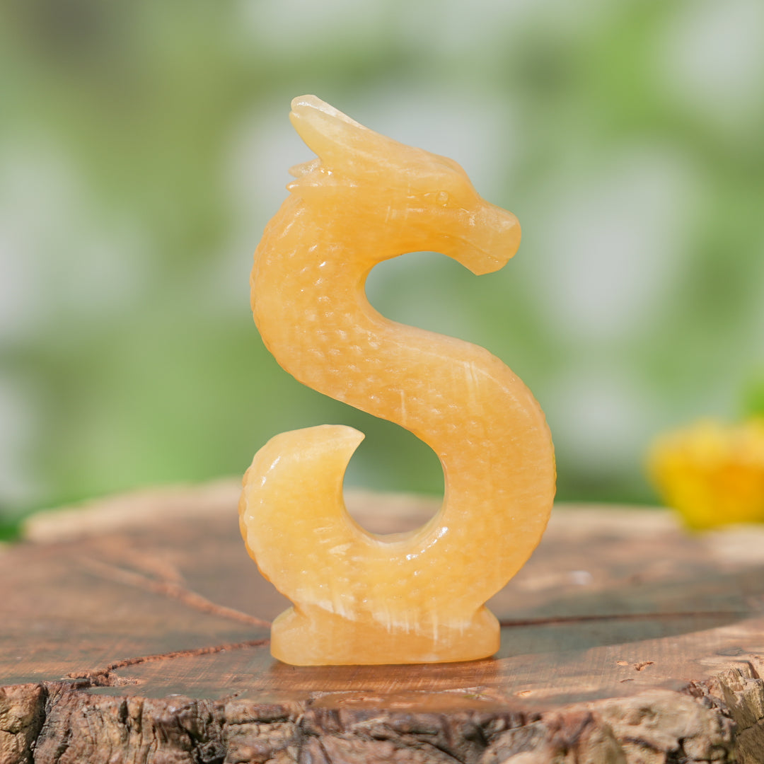 Natural Letter Dragon Sculpture