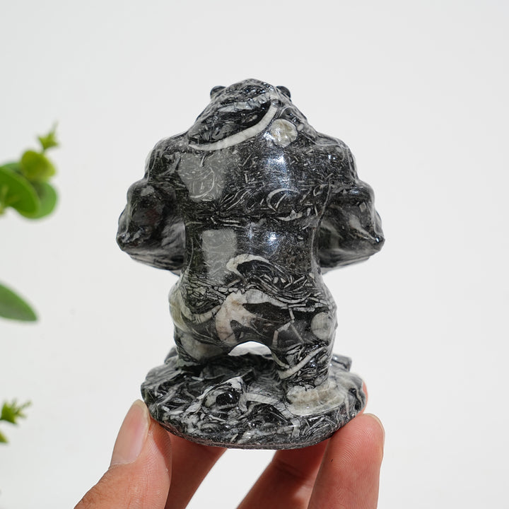 Unique,Natural Crystal Carving Shell Fossil Muscle Bear