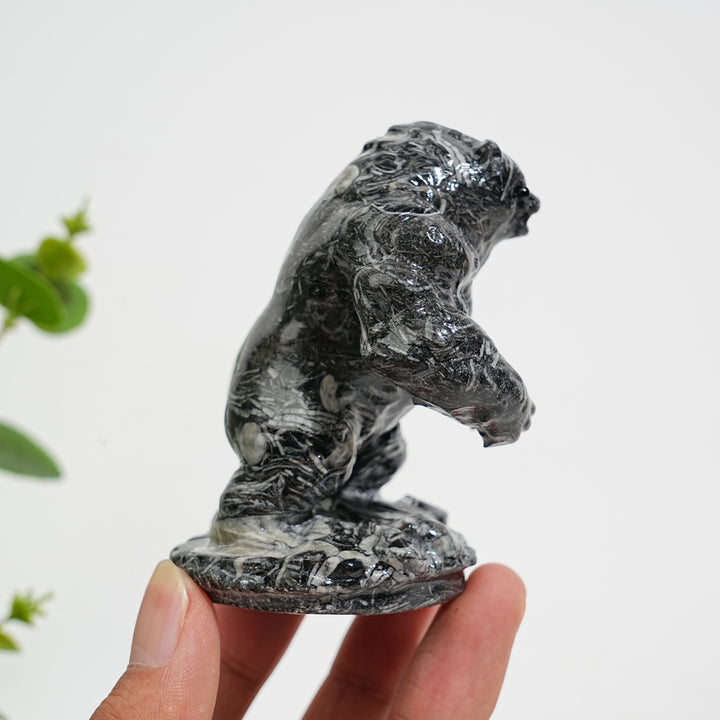 Unique,Natural Crystal Carving Shell Fossil Muscle Bear