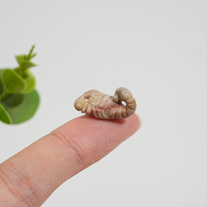 Natural Crystal Alashan Agate Scorpion