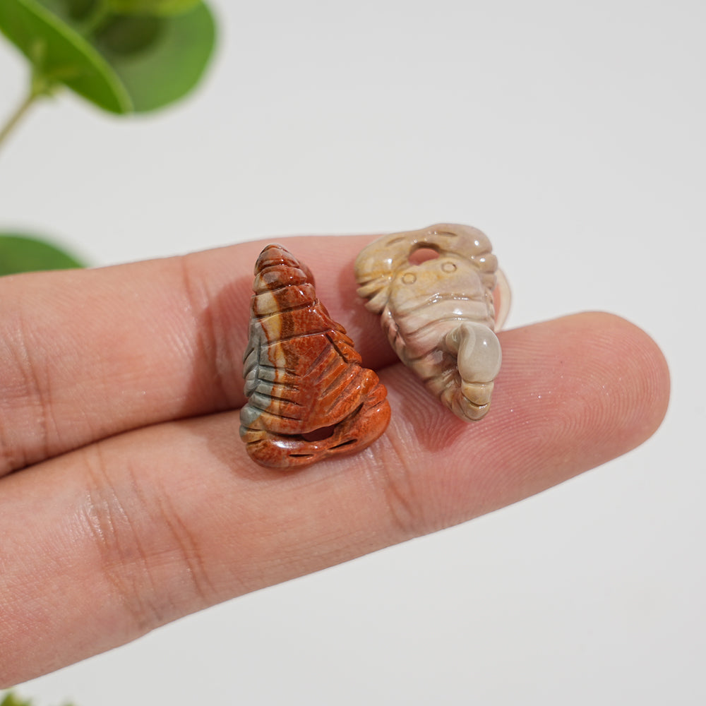 Natural Crystal Alashan Agate Scorpion