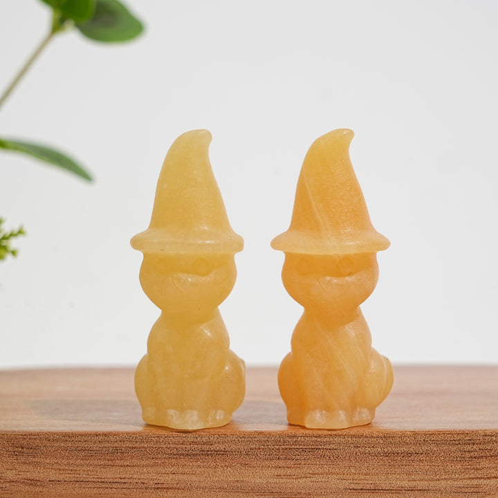 Natural Crystal Whimsical Wizard Hat Sitting Cat