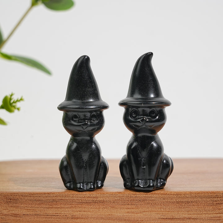 Natural Crystal Whimsical Wizard Hat Sitting Cat