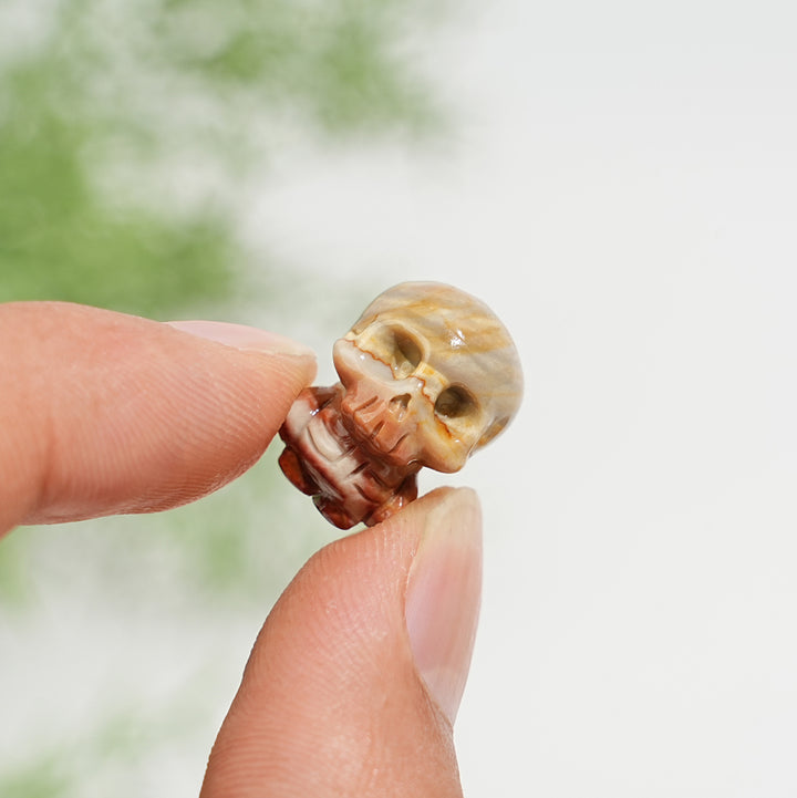 Natural Alashan Agate Cute Mini Skull Carving