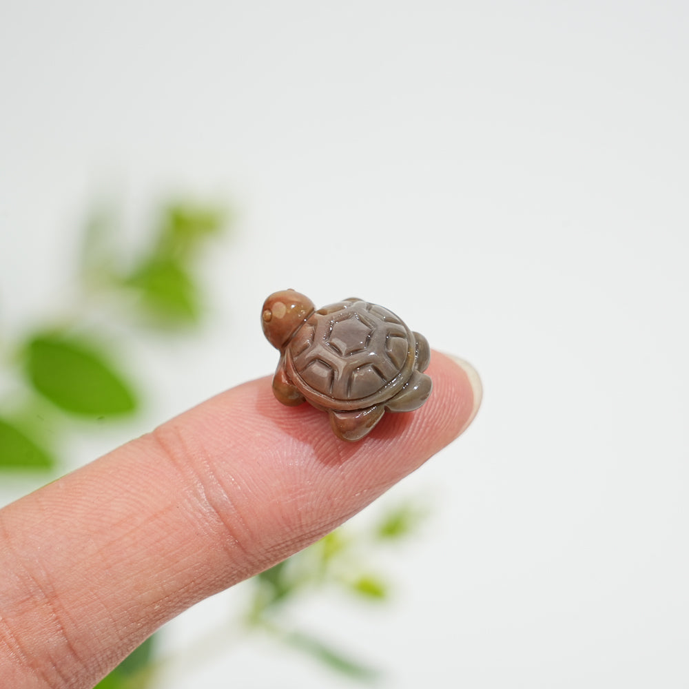 Natural Crystal Alashan Agate Turtle Carving