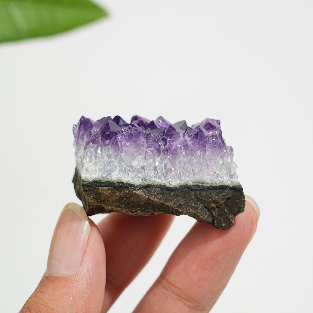 Natural Crystal Exquisite Amethyst Cluster