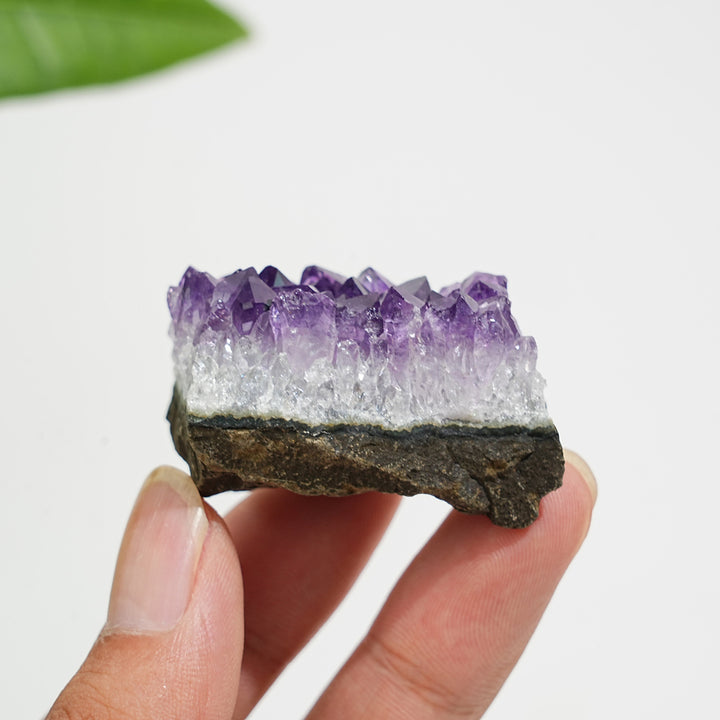 Natural Crystal Exquisite Amethyst Cluster