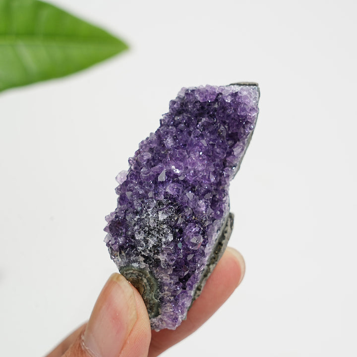 Natural Crystal Exquisite Amethyst Cluster