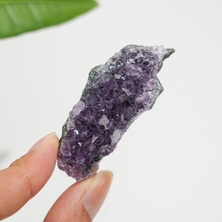 Natural Crystal Exquisite Amethyst Cluster