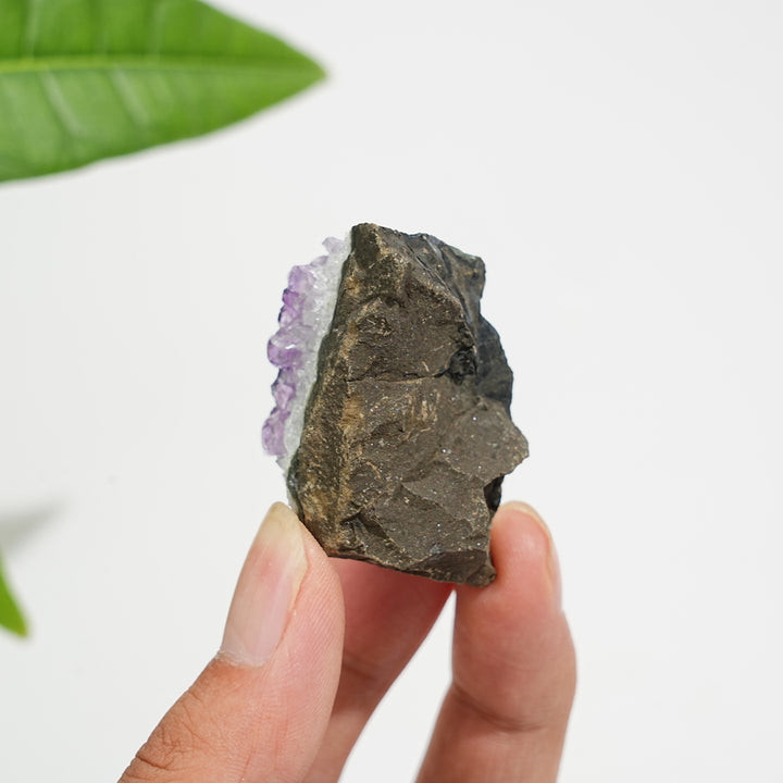 Natural Crystal Exquisite Amethyst Cluster