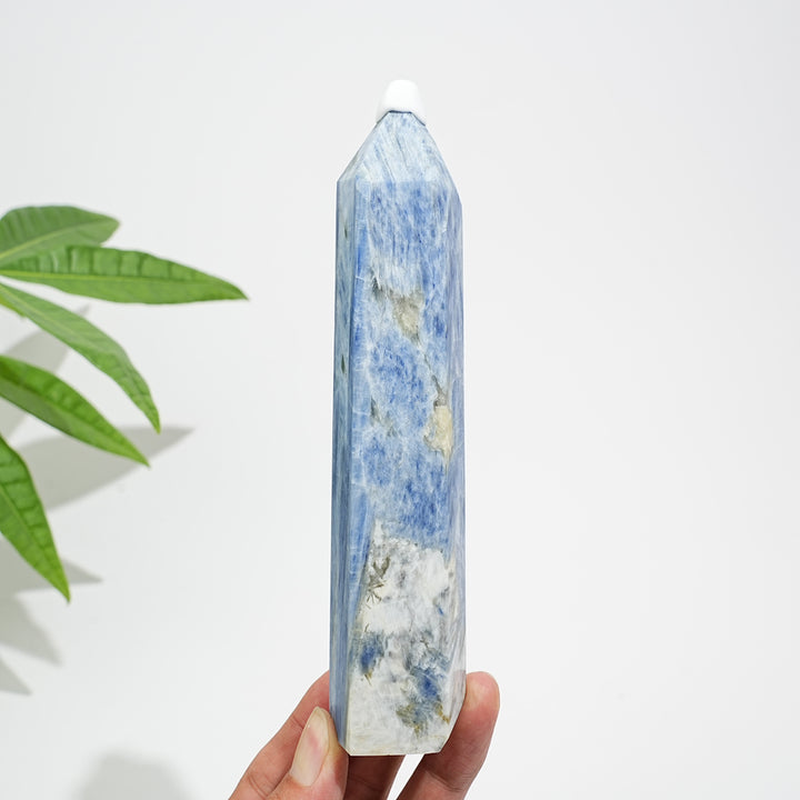 Unique,Natural Crystal Blue Kyanite Point
