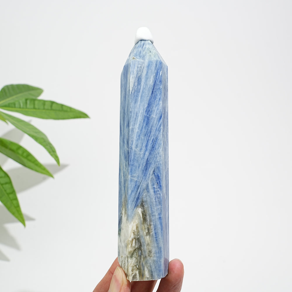 Unique,Natural Crystal Blue Kyanite Point