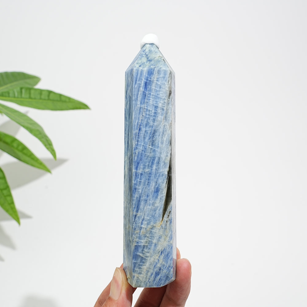 Unique,Natural Crystal Blue Kyanite Point