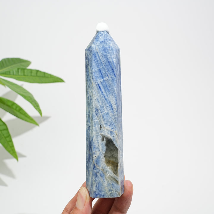 Unique,Natural Crystal Blue Kyanite Point