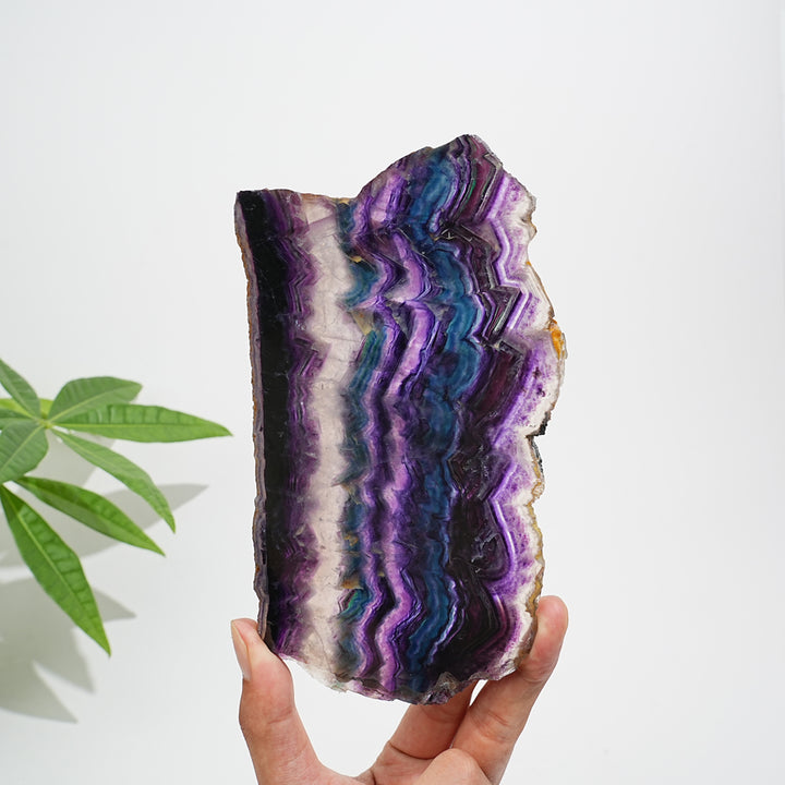 Unique,Natural Crystal Stunning Fluorite Slice