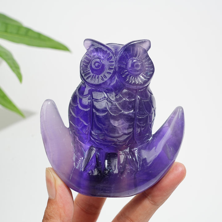 Unique,A Slightly Imperfect Natural Crystal Purple Fluorite Owl Carving