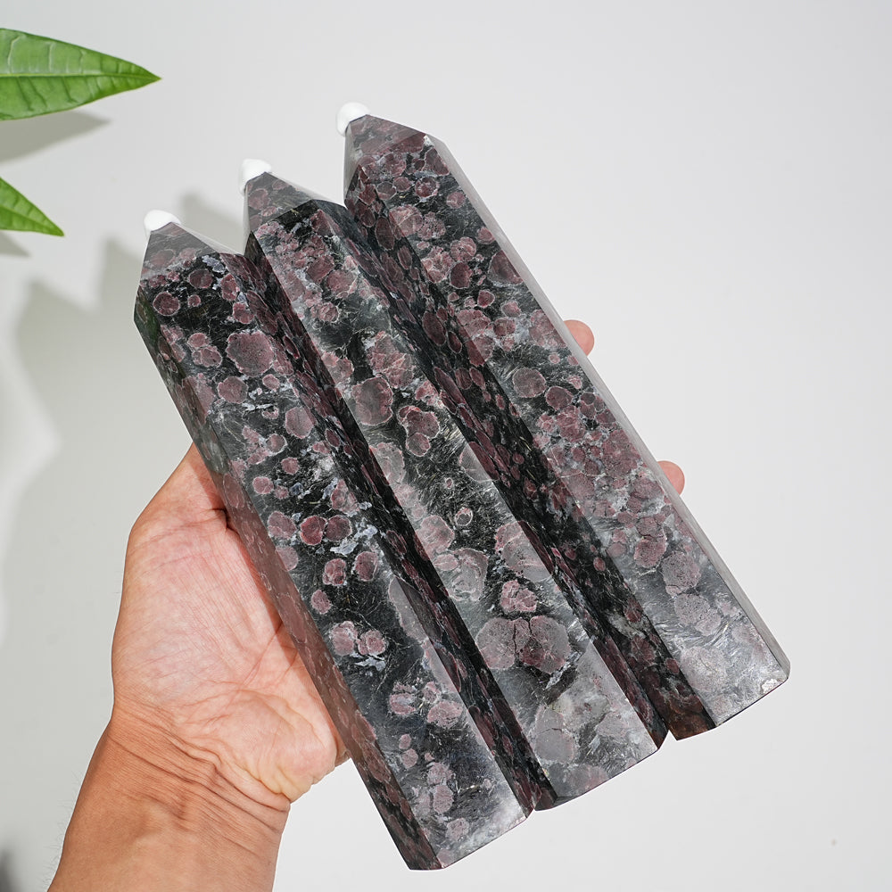Unique,Natural Crystal Garnet With Arfvedsonite Point