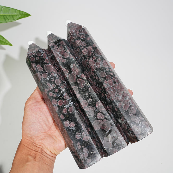 Unique,Natural Crystal Garnet With Arfvedsonite Point
