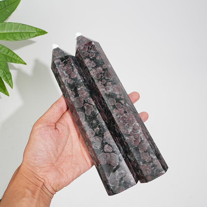 Unique,Natural Crystal Garnet With Arfvedsonite Point