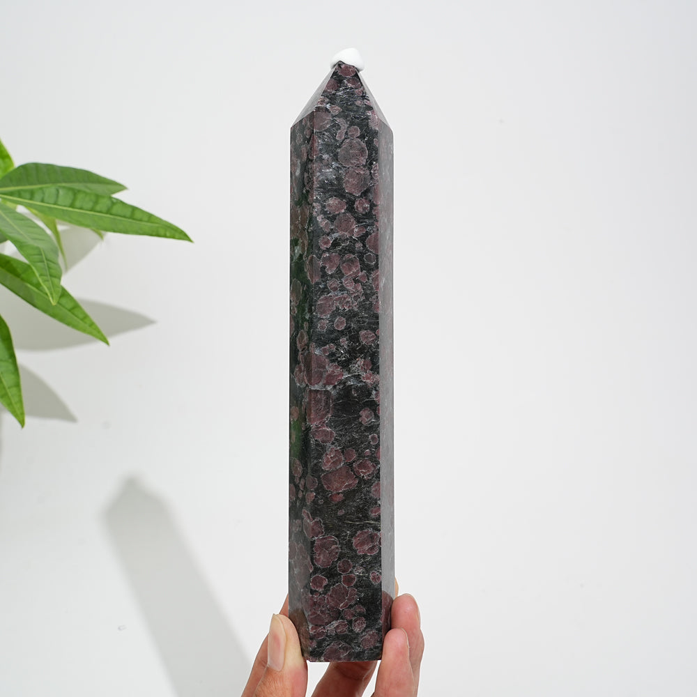 Unique,Natural Crystal Garnet With Arfvedsonite Point