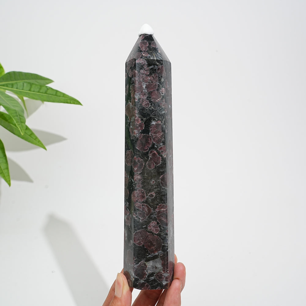 Unique,Natural Crystal Garnet With Arfvedsonite Point