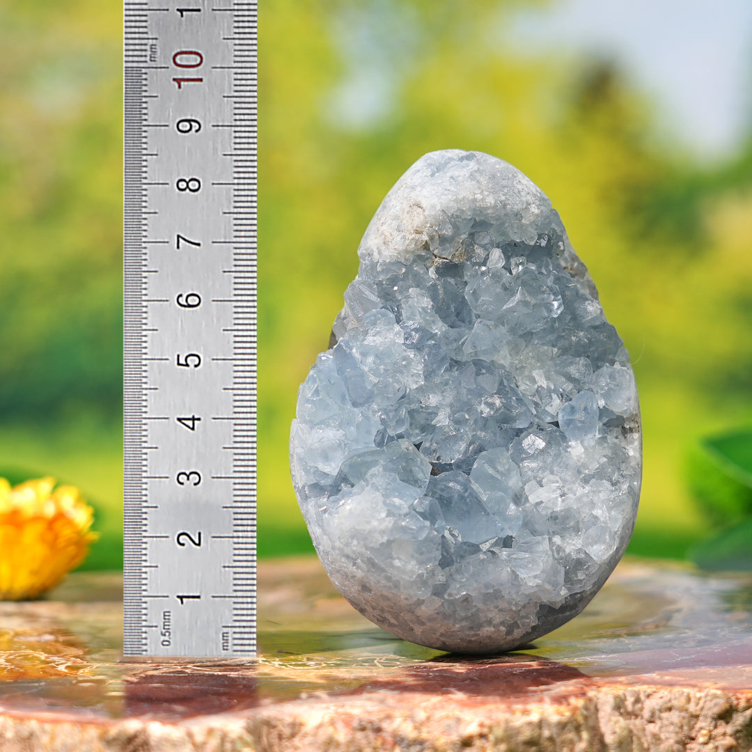 Natural Celestite Egg