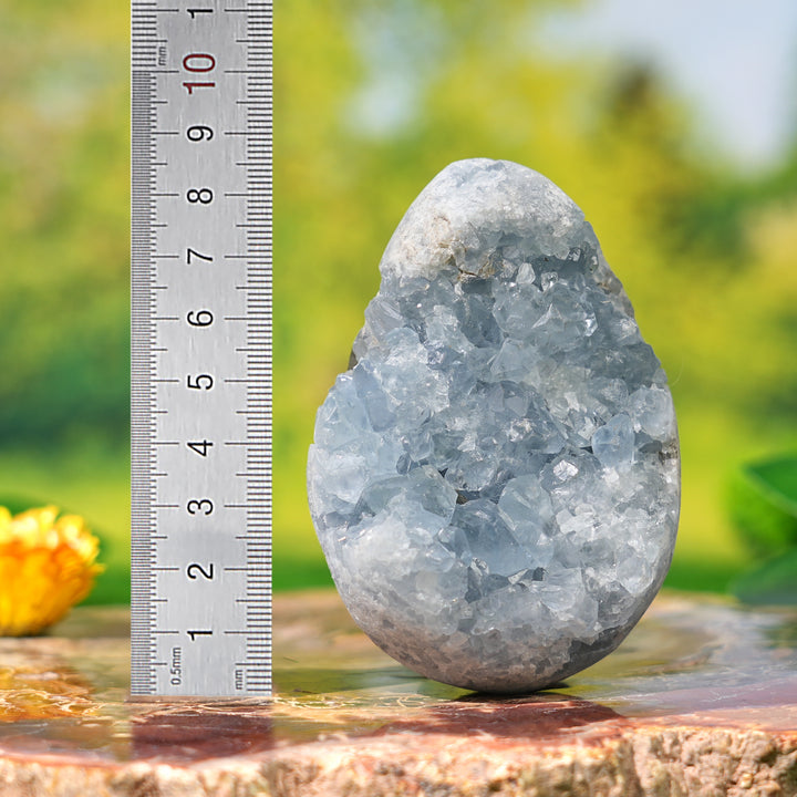 Natural Celestite Egg