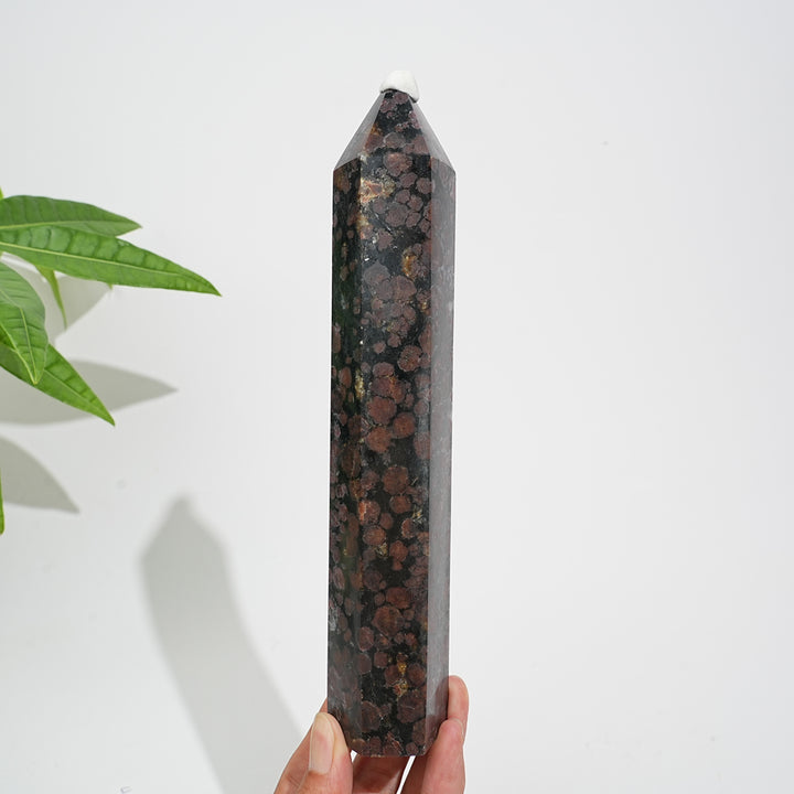 Unique,Natural Crystal Garnet With Arfvedsonite Point