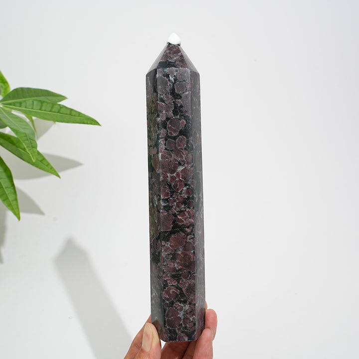 Unique,Natural Crystal Garnet With Arfvedsonite Point