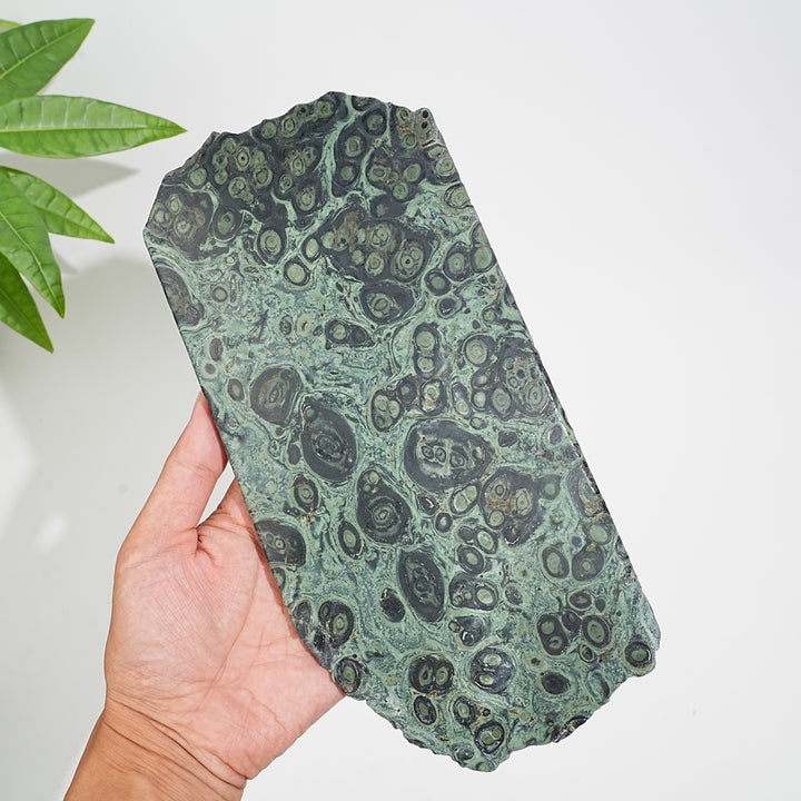 Unique,Natural Crystal Kambaba Jasper Slice
